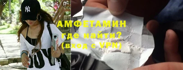 стаф Алзамай