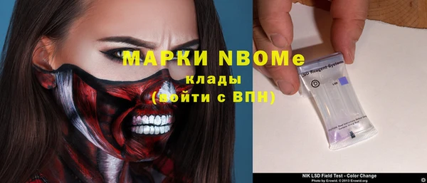 стаф Алзамай