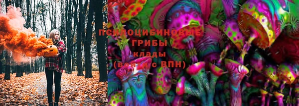 стаф Алзамай