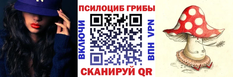 Псилоцибиновые грибы MAGIC MUSHROOMS  дарнет шоп  Новомичуринск 